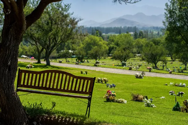 Banca bajo un árbol con vista a las áreas verdes de Parque de Auco