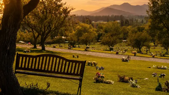 Banca bajo árboles con vista al parque y la cordillera al atardecer